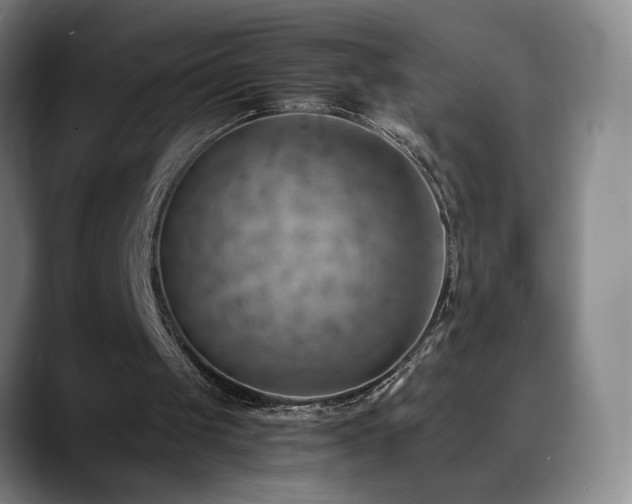 X0000090430049200707131208