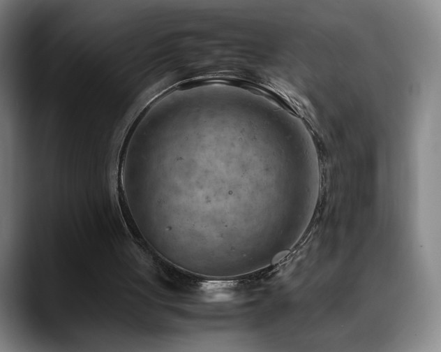 X0000090430051200707131209