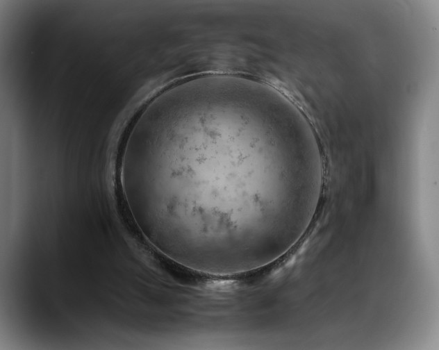X0000090430055200707131209