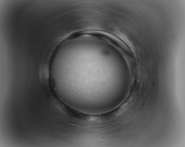 X0000090430060200707131209