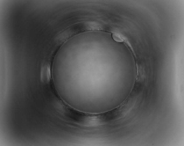 X0000090430061200707131209