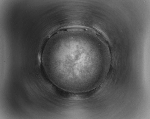 X0000090430062200707131209