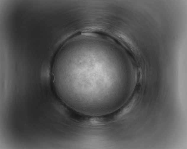 X0000090430064200707131209