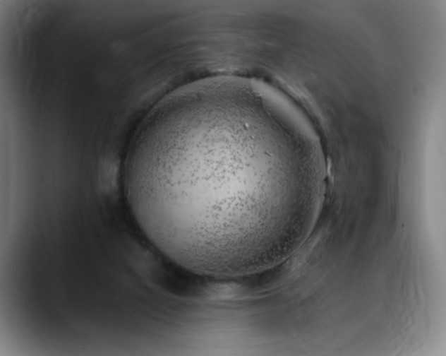 X0000090430066200707131209