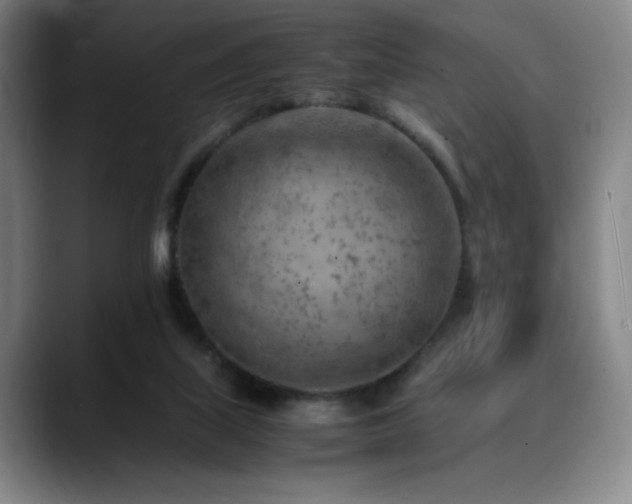 X0000090430067200707131209