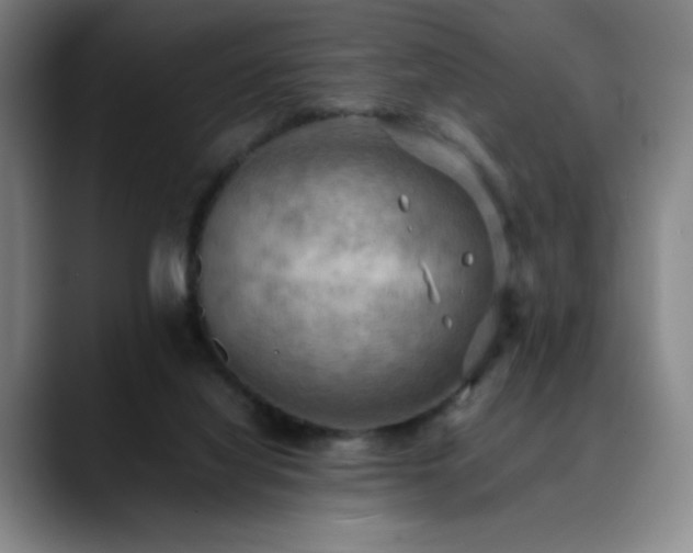 X0000090430068200707131209