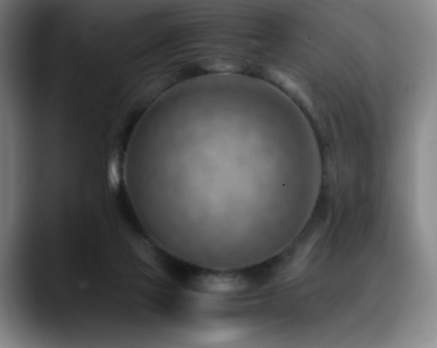 X0000090430069200707131209