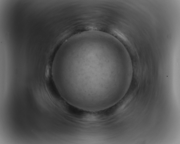 X0000090430071200707131209