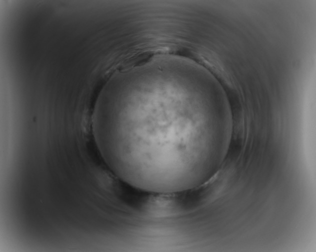 X0000090430078200707131209