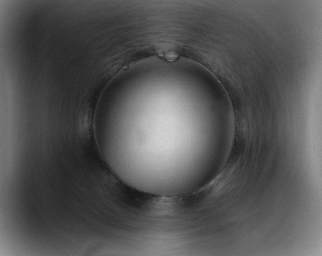 X0000090430082200707131209