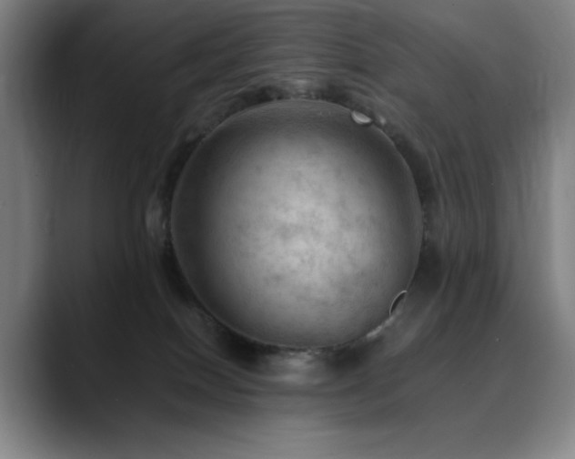 X0000090430086200707131209