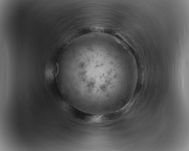 X0000090430090200707131209