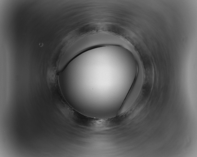 X0000090430092200707131209