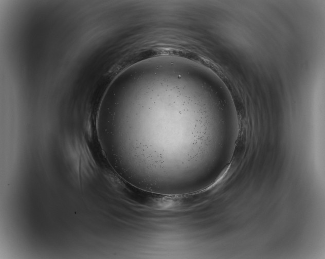 X0000090430094200707131209
