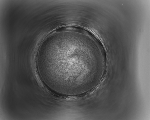 X0000090430097200707131208