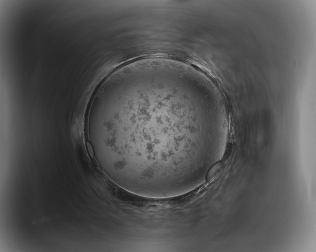 X0000090430099200707131208
