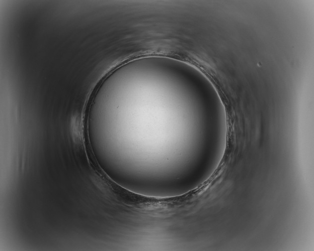 X0000090430100200707131208