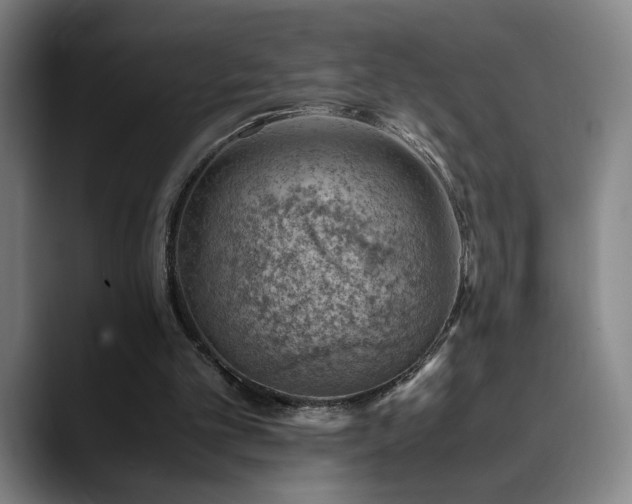 X0000090430101200707131208