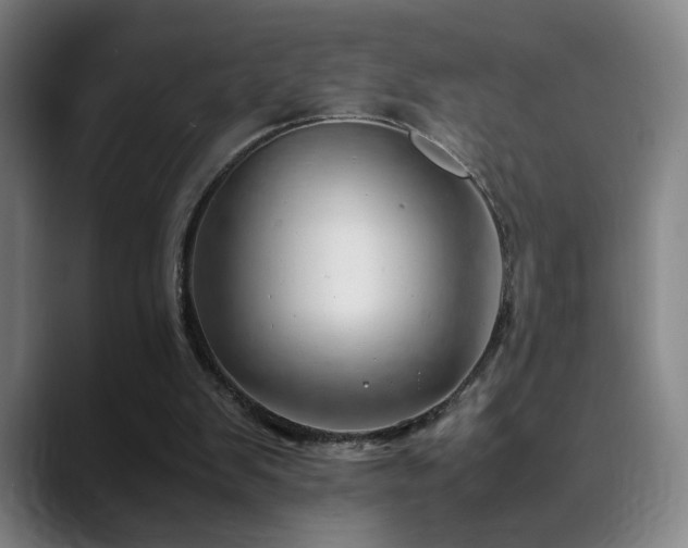 X0000090430103200707131208