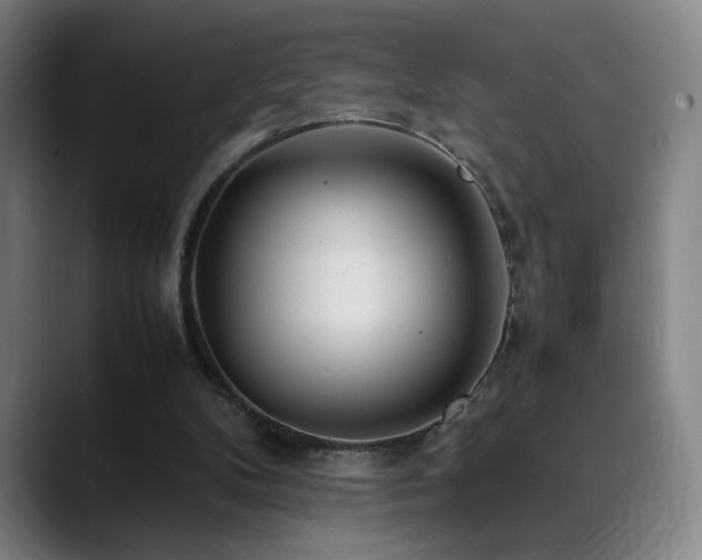 X0000090430104200707131208