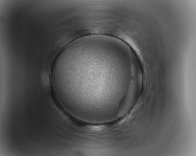 X0000090430105200707131208