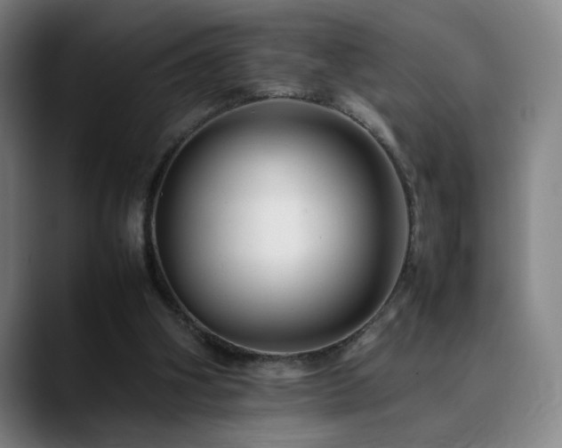 X0000090430106200707131208