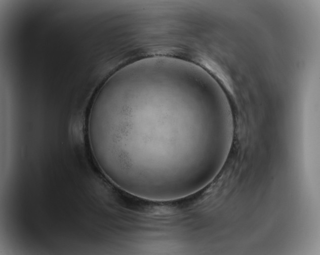 X0000090430107200707131208