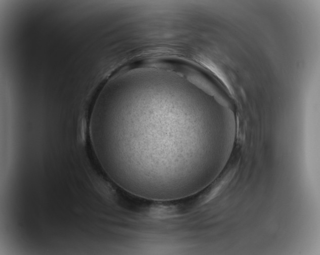 X0000090430109200707131208