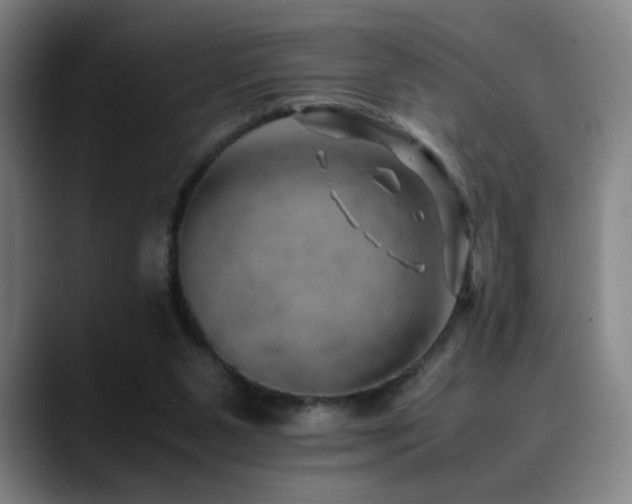 X0000090430111200707131208