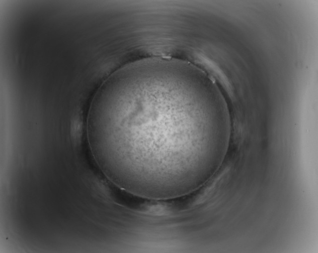 X0000090430113200707131208