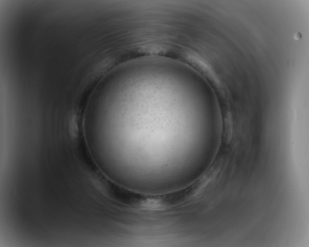 X0000090430114200707131208