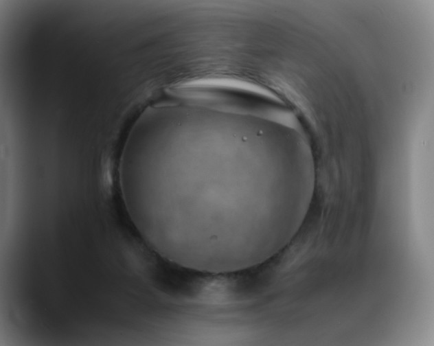 X0000090430115200707131208