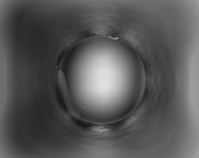 X0000090430117200707131208