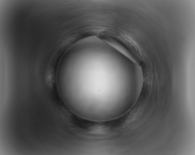 X0000090430119200707131208