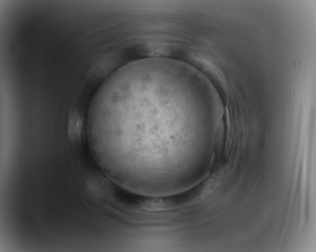 X0000090430123200707131208