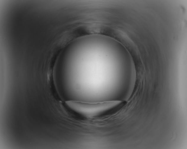 X0000090430125200707131208