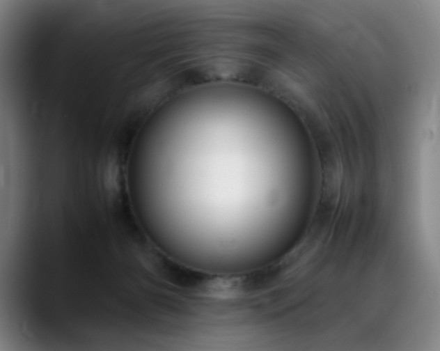 X0000090430126200707131208