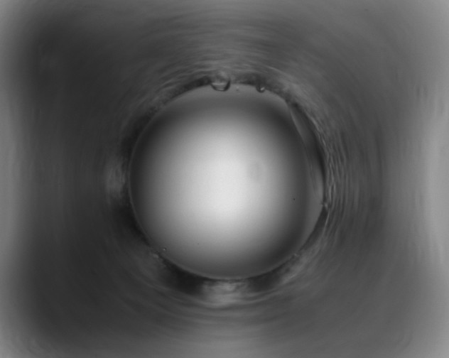 X0000090430129200707131208