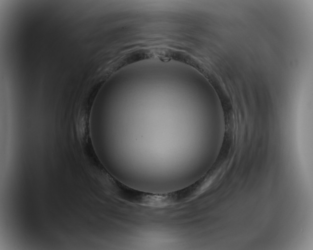 X0000090430139200707131208