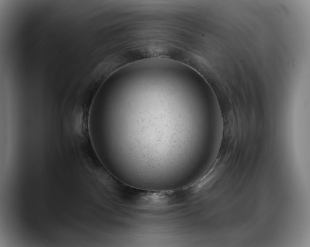 X0000090430140200707131208