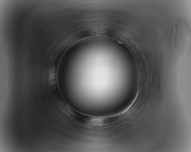X0000090430144200707131208
