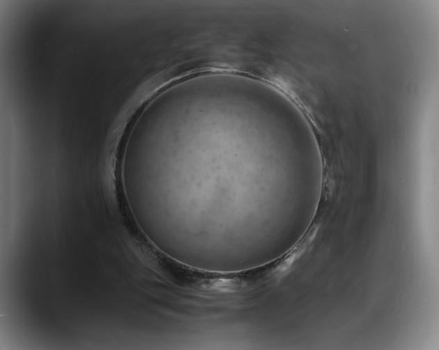 X0000090430151200707131207