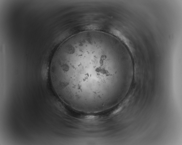 X0000090430153200707131207