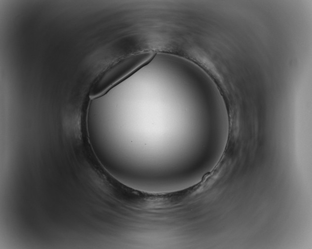 X0000090430154200707131207