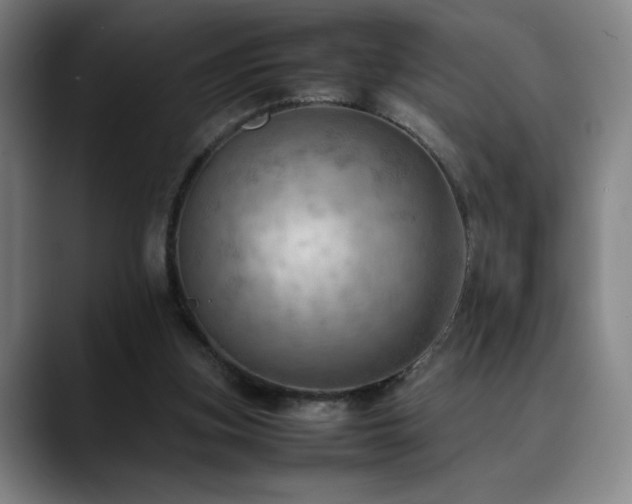 X0000090430155200707131207