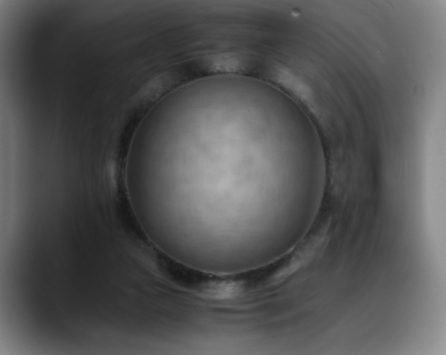 X0000090430161200707131208