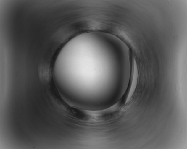 X0000090430164200707131208