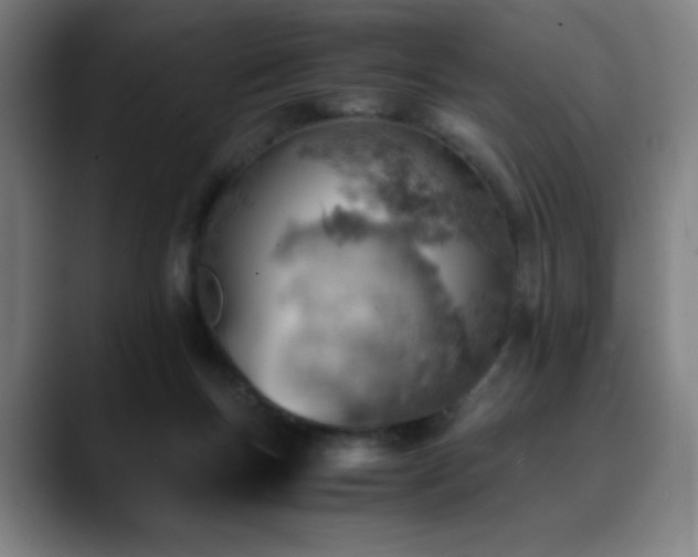 X0000090430167200707131208