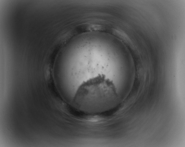 X0000090430169200707131208