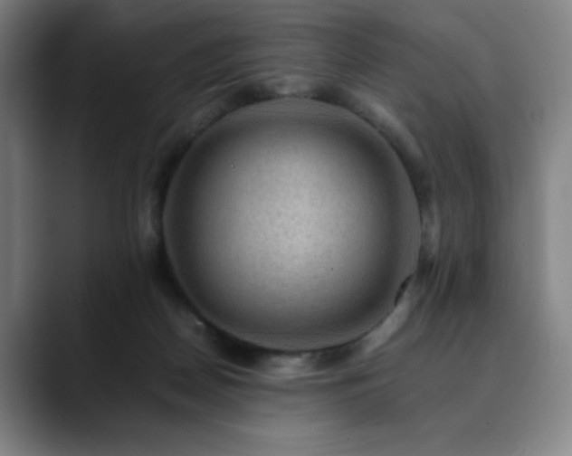 X0000090430170200707131208